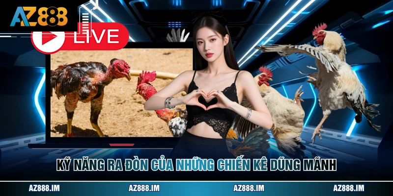 Đá Gà Cựa Đòn - Những Kiến Thức Quan Trọng Cần Biết Kỹ năng ra đòn của những chiến kê dũng mãnh
