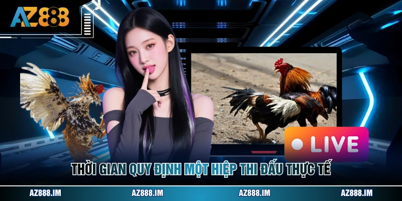 Đá Gà Cựa Đòn - Những Kiến Thức Quan Trọng Cần Biết Thời gian quy định một hiệp thi đấu thực tế
